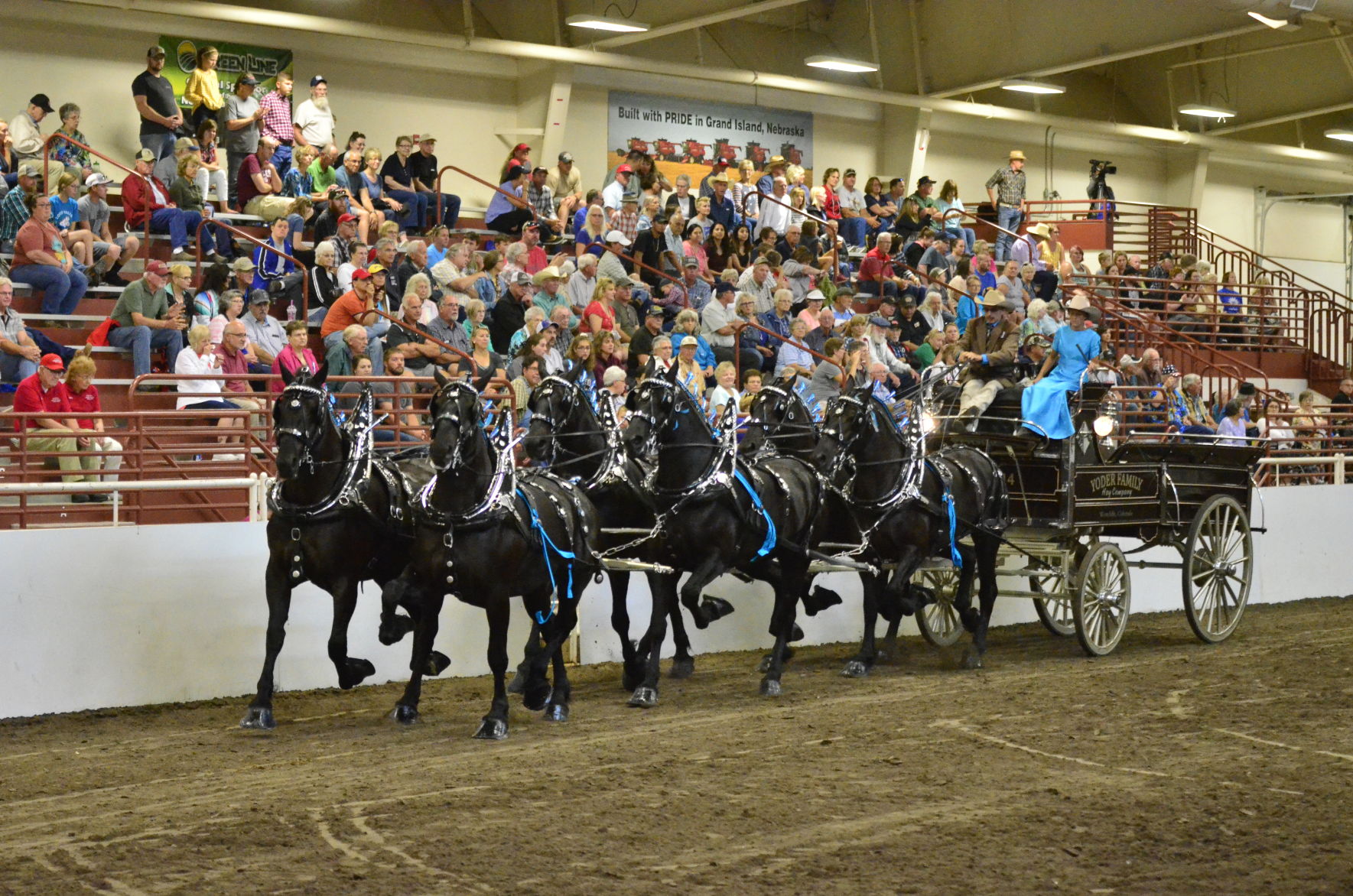 8-25-19 Draft Horse Hitch Final (120).JPG